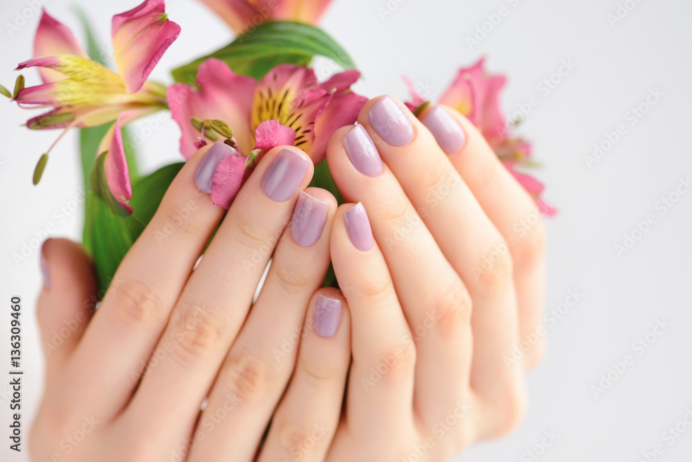 Hands of a woman with dark red manicure on nails and flowers alstroemeria on a white background Hands of a woman with dark red manicure on nails and flowers alstroemeria on a white background