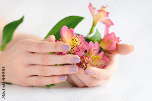 Hands of a woman with dark red manicure on nails and flowers alstroemeria on a white background
