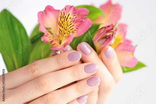 Hands of a woman with dark red manicure on nails and flowers alstroemeria on a white background