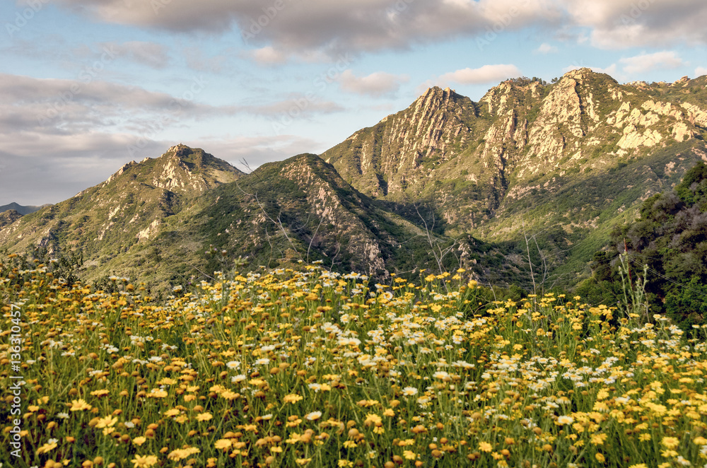 Southern California landscape in spring; focus on  mountains