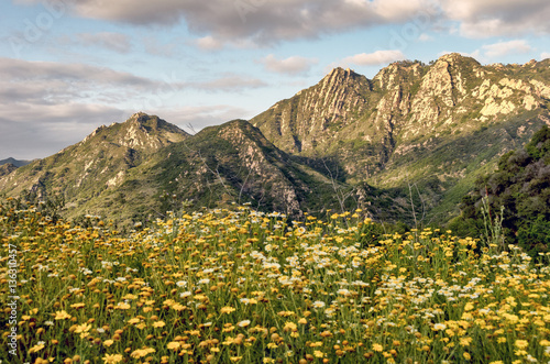 Southern California landscape in spring; focus on mountains