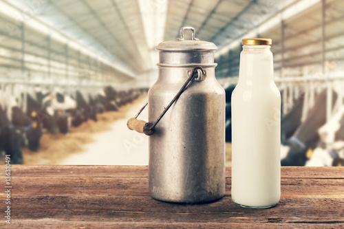 Fototapeta fresh milk bottle and can on the table in cowshed