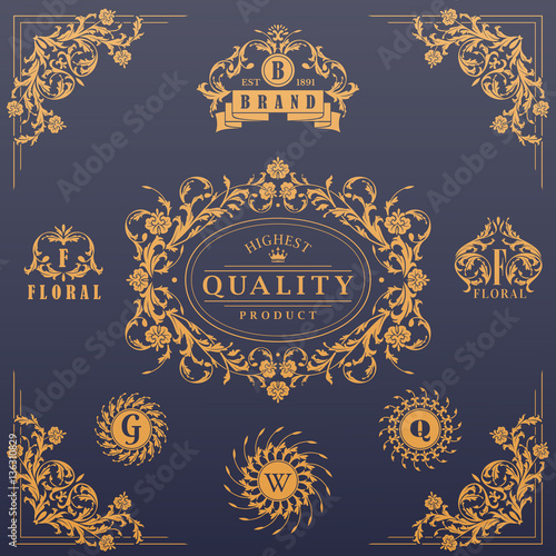 Calligraphic design elements collection