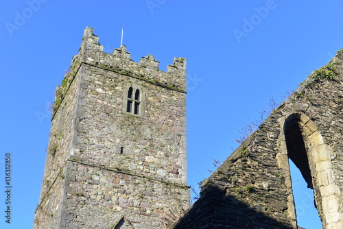 Fotografie The ruins of Greyfriars chuch in the City of Waterford.