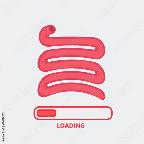 Small intestine vector illustration