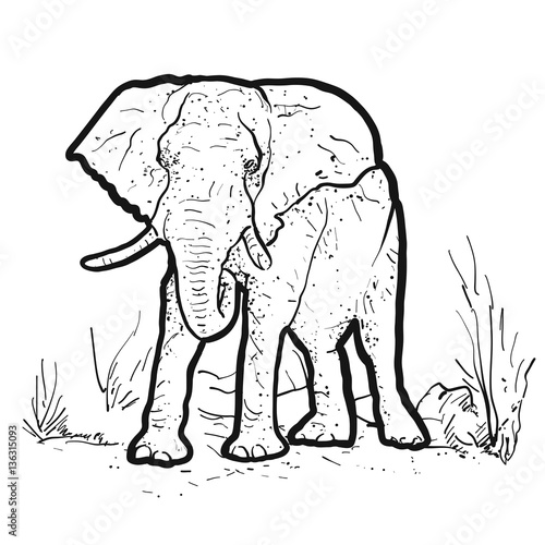 Elefant Outline Punkte