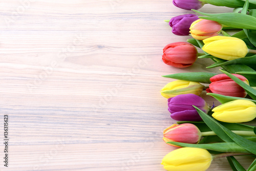 Fototapeta Naklejka Na Ścianę i Meble -  fresh tulips in a row with copy space on wooden white background