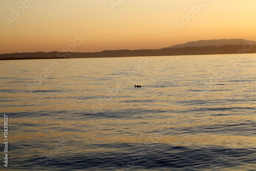 Beautiful sunset at Garda lake in Italy