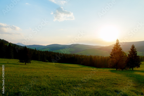 Beautiful landscape in the sunset. Meadow and trees.
