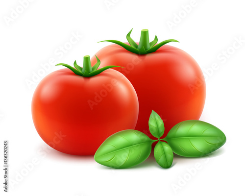 Vector Big Ripe Red Fresh Whole Tomatoes with Basil Close up Isolated on White Background