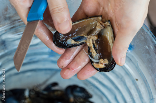 Young woman hands opening fresh mussel shell with a knife