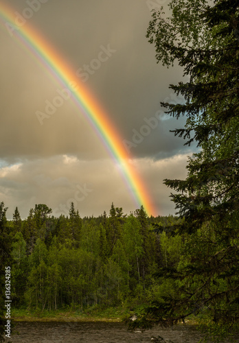 rainbow above taiga forest