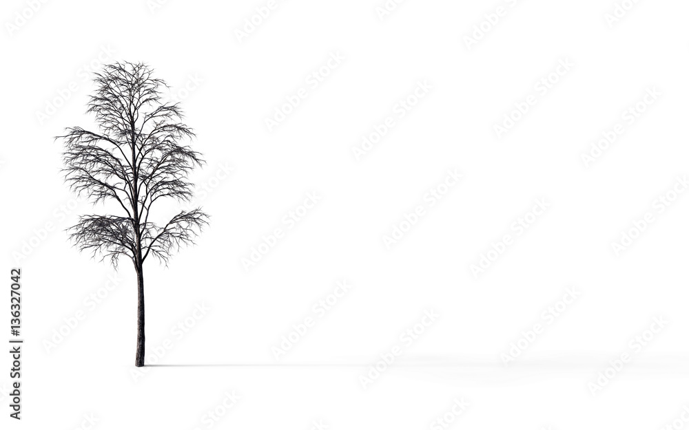 Fototapeta premium Bare tree branches isolate on white background, 3d illustration
