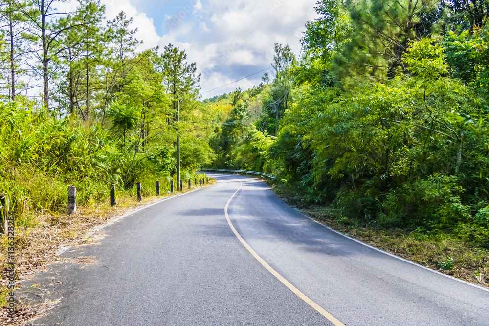 Road with tree and nature plant beside Road with tree and nature plant beside