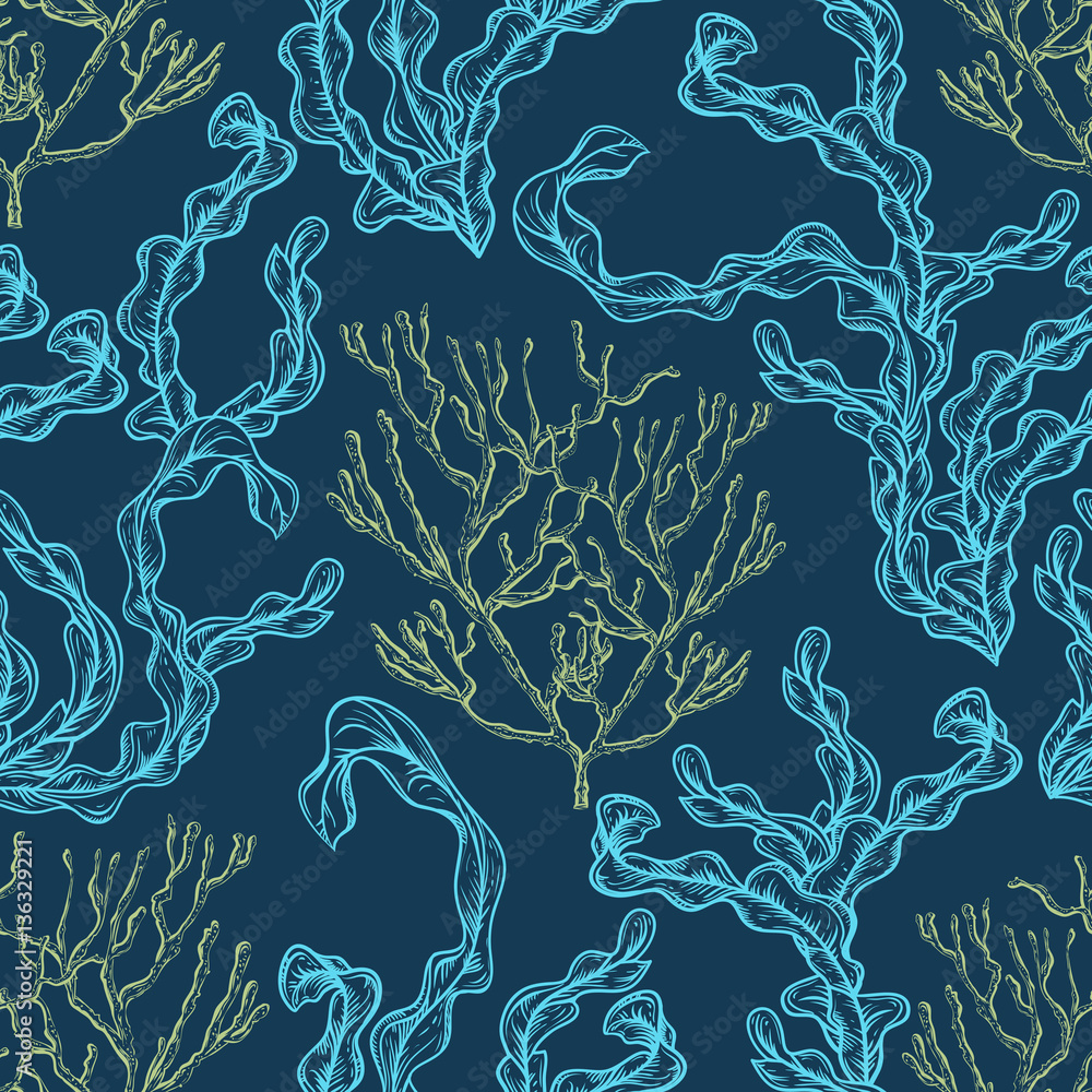 Obraz premium Collection of marine plants, corals and seaweed. Vintage seamless pattern with hand drawn marine flora. Vector illustration in line art style.