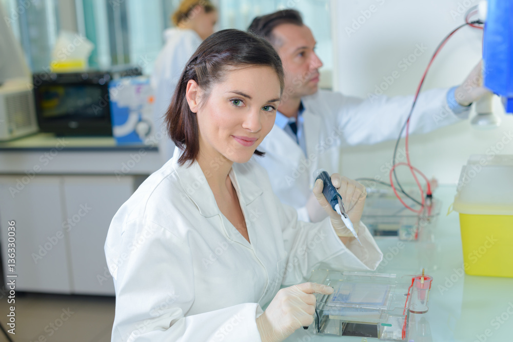 chemist in the laboratory chemist in the laboratory