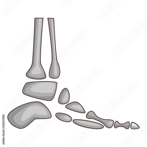 Foot bones icon, cartoon style