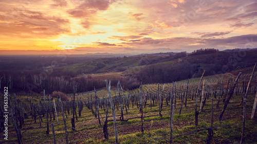Photos Colline vigne con tramonto spettacolare