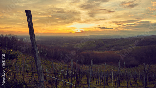 Tableau sur toile Colline vigne con tramonto spettacolare