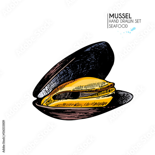 Vector hand drawn set of seafood icons. Isolated mussel. Engraved colored art.