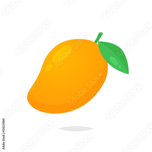 Canvas Print Mango fruit vector isolated