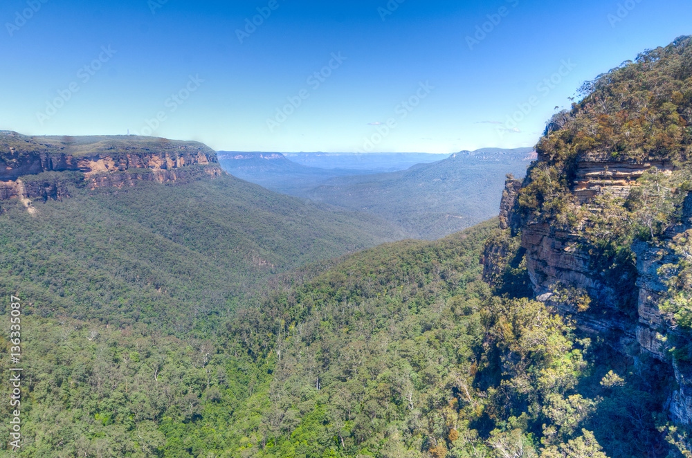 Fototapeta premium Blue Mountains, Australia