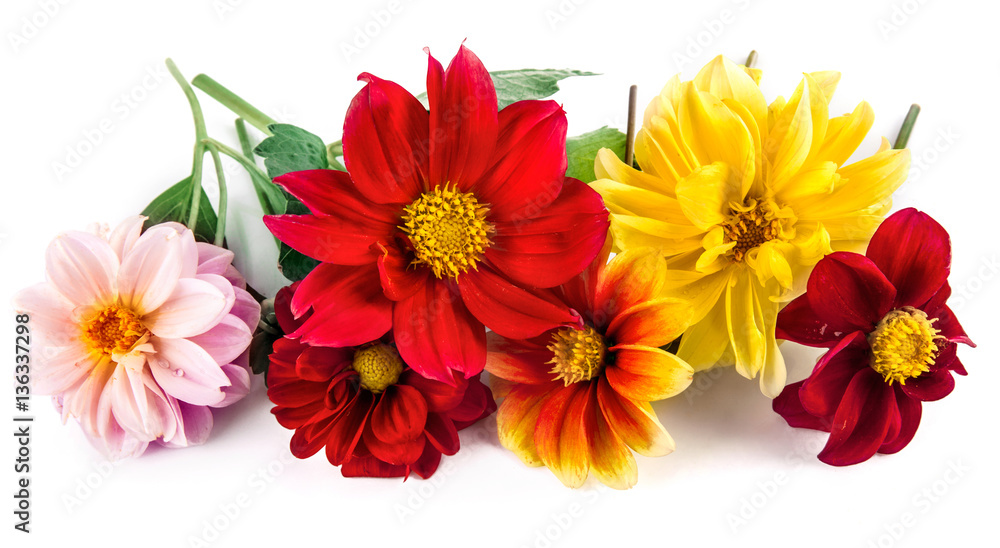 Bunch bright red and yellow flowers with