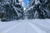 Winterweg im Harz
