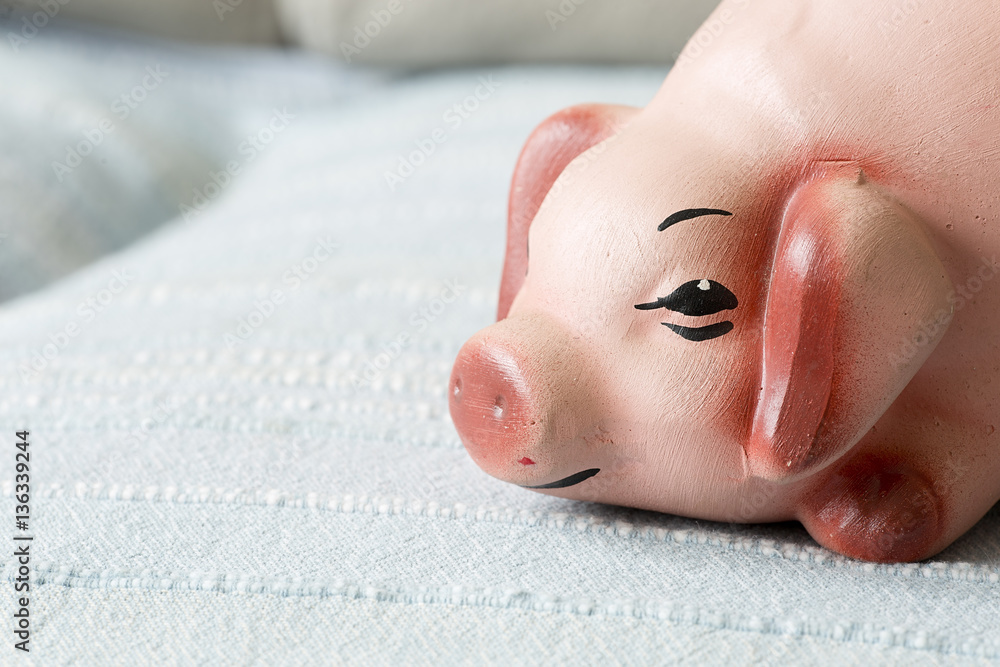 Naklejka premium Face of a clay pig