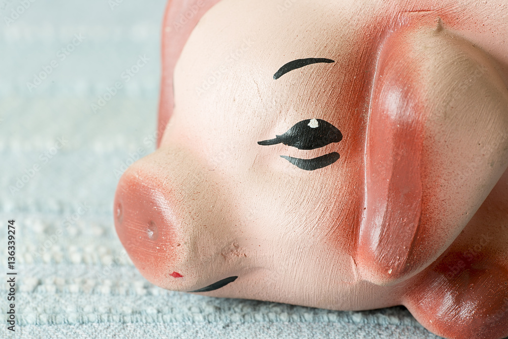 Fototapeta premium Face of a clay pig