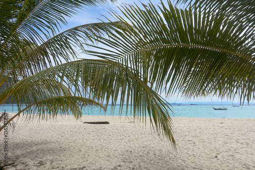 Palm leaves and white sand beach