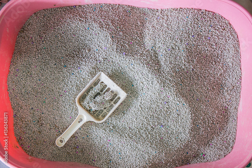 toilet cat Cleaning sand cat  in a litter box