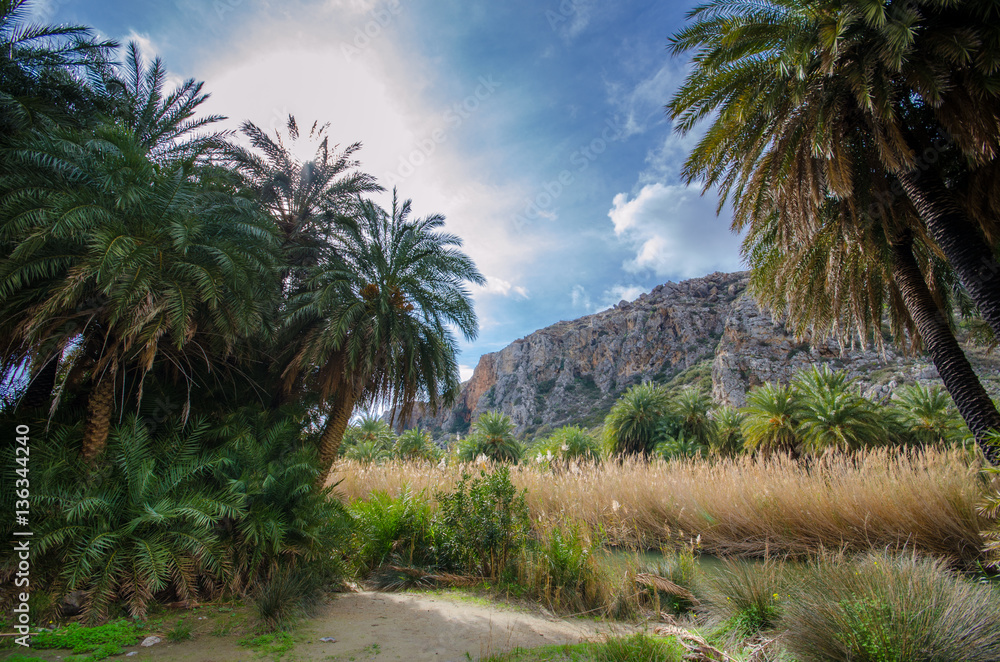 Preveli beach at Libyan sea, river and tropical palm forest, southern Crete , Greece