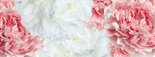 banner  pink and white peonies