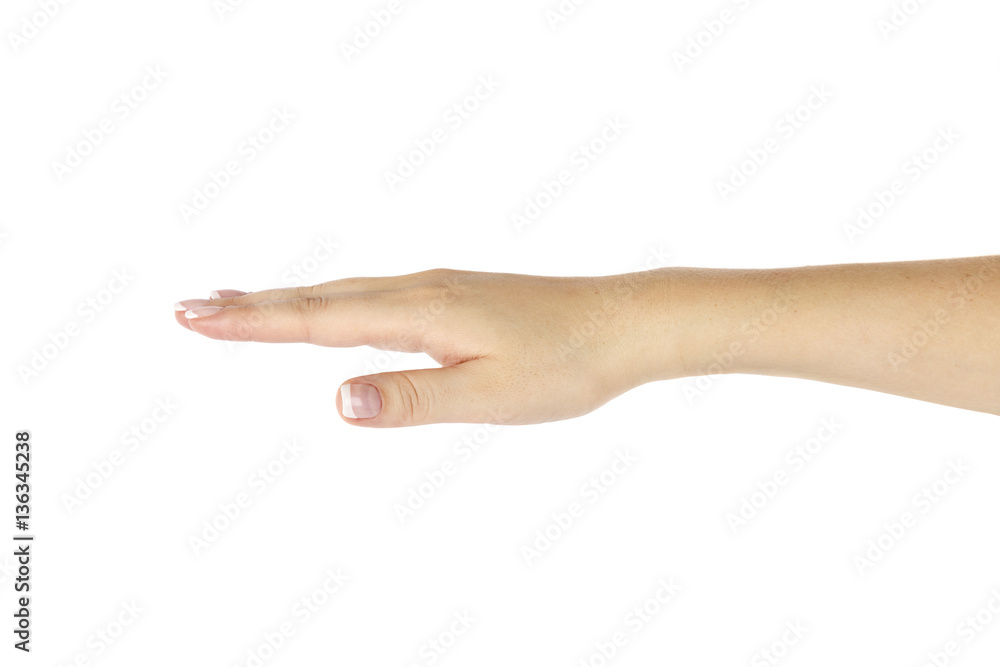 Empty female hand on white background. Empty female hand on white background.