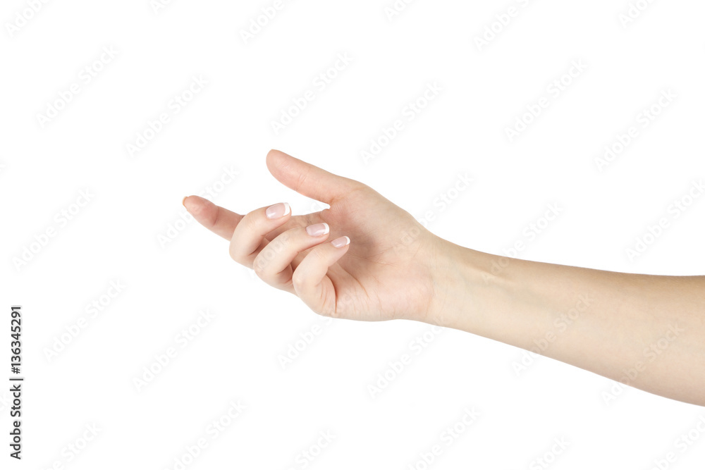 Woman's hand on a white background. Isolated. Woman's hand on a white background. Isolated.