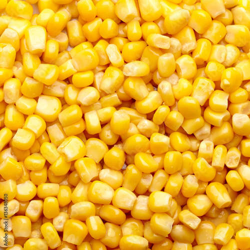 Corn grain texture. Top view.