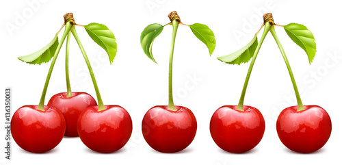 Ripe red cherry vector illustration
