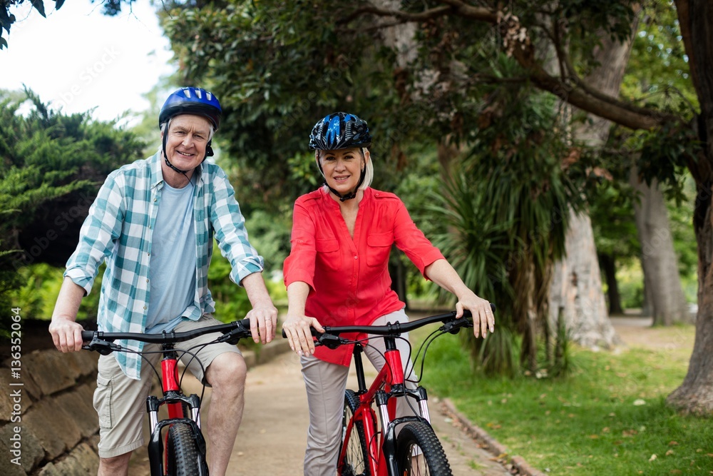 Obraz premium Portrait of senior couple standing with bicycle in park