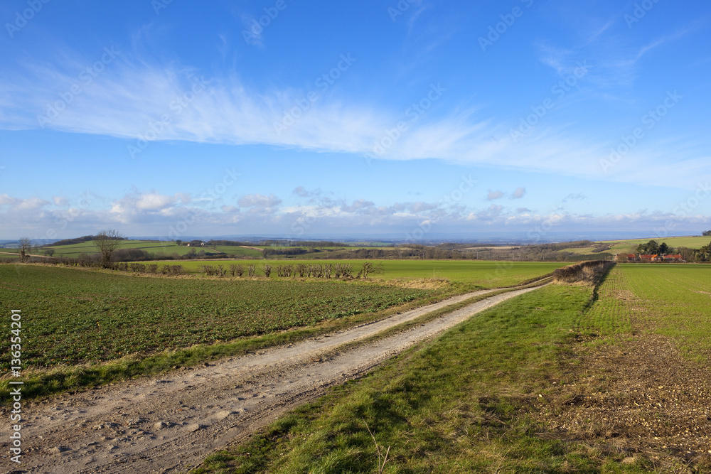 english agricultural vista