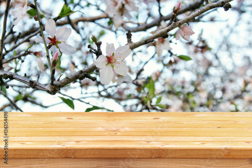 wooden table in front of spring cherry tree © tomertu