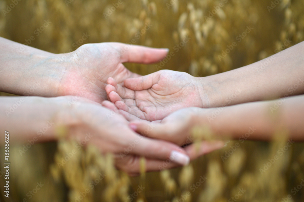 human hands close up