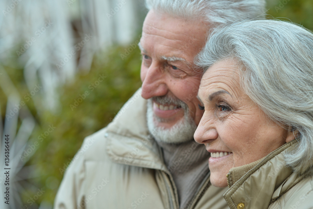 smiling senior couple smiling senior couple