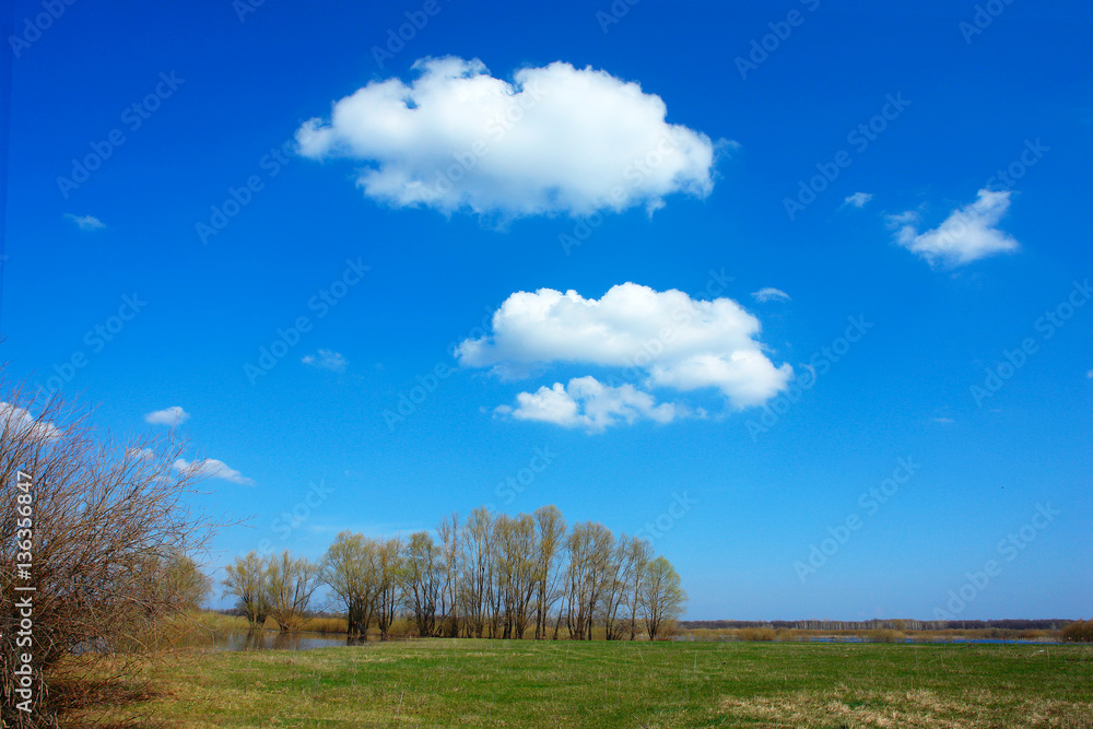 White clouds on the background of the spring blue sky White clouds on the background of the spring blue sky
