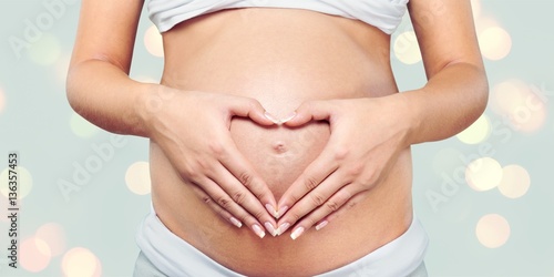 Wallpaper Mural Human pregnancy. Torontodigital.ca