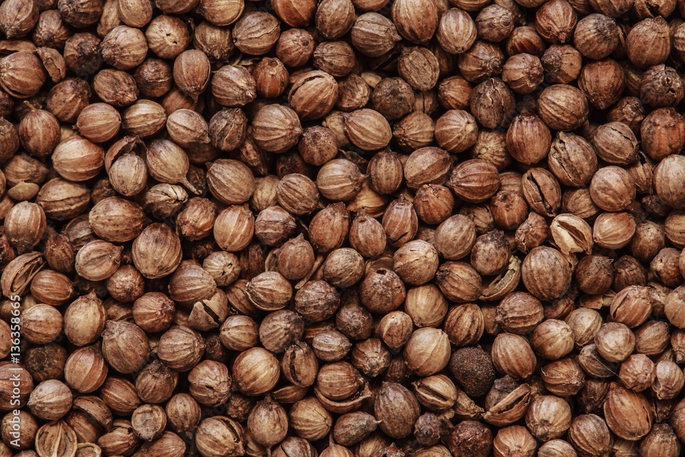 coriander seeds macro photo coriander seeds macro photo