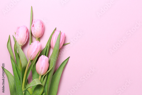 Fototapeta Naklejka Na Ścianę i Meble -  Pink tulips on the pink background. Flat lay, top view.  Valenti