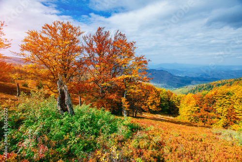 rock massif in the Carpathians.