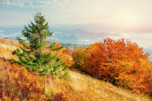 rock massif in the Carpathians.