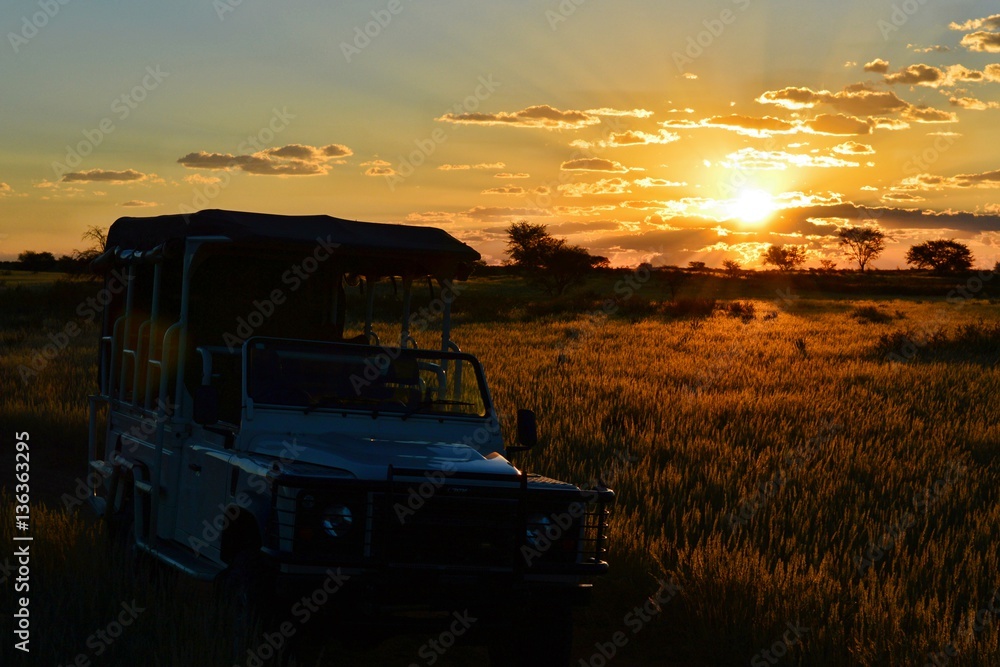 Amazing Sunset during a game drive in the savannah of Namibia